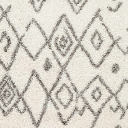 Aliyah Shag ALH-2316 Machine Woven Rug