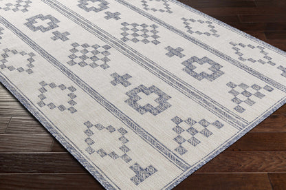 Tuareg TRG-2318 Machine Woven Rug