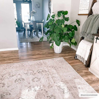 Amelie AML-2303 Machine Woven Rug