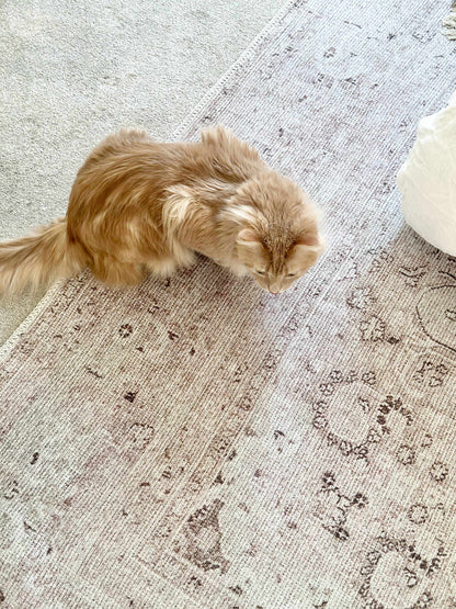 Amelie AML-2303 Machine Woven Rug