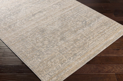 Amore AMO-2324 Machine Woven Rug