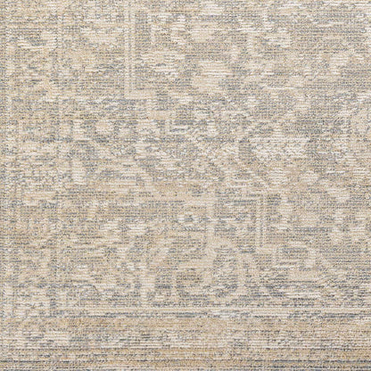 Amore AMO-2324 Machine Woven Rug