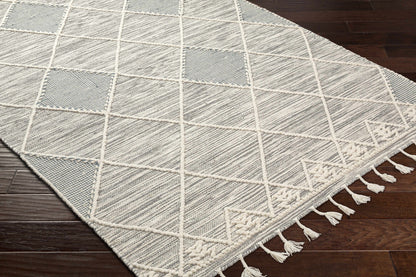 Norwood NWD-2307 Hand Woven Rug