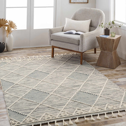 Norwood NWD-2307 Hand Woven Rug
