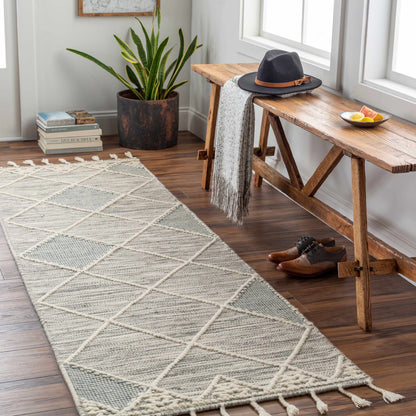 Norwood NWD-2307 Hand Woven Rug