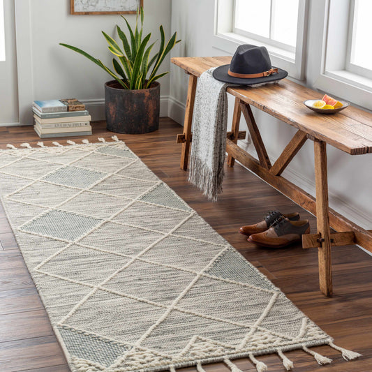 Norwood NWD-2307 Hand Woven Rug