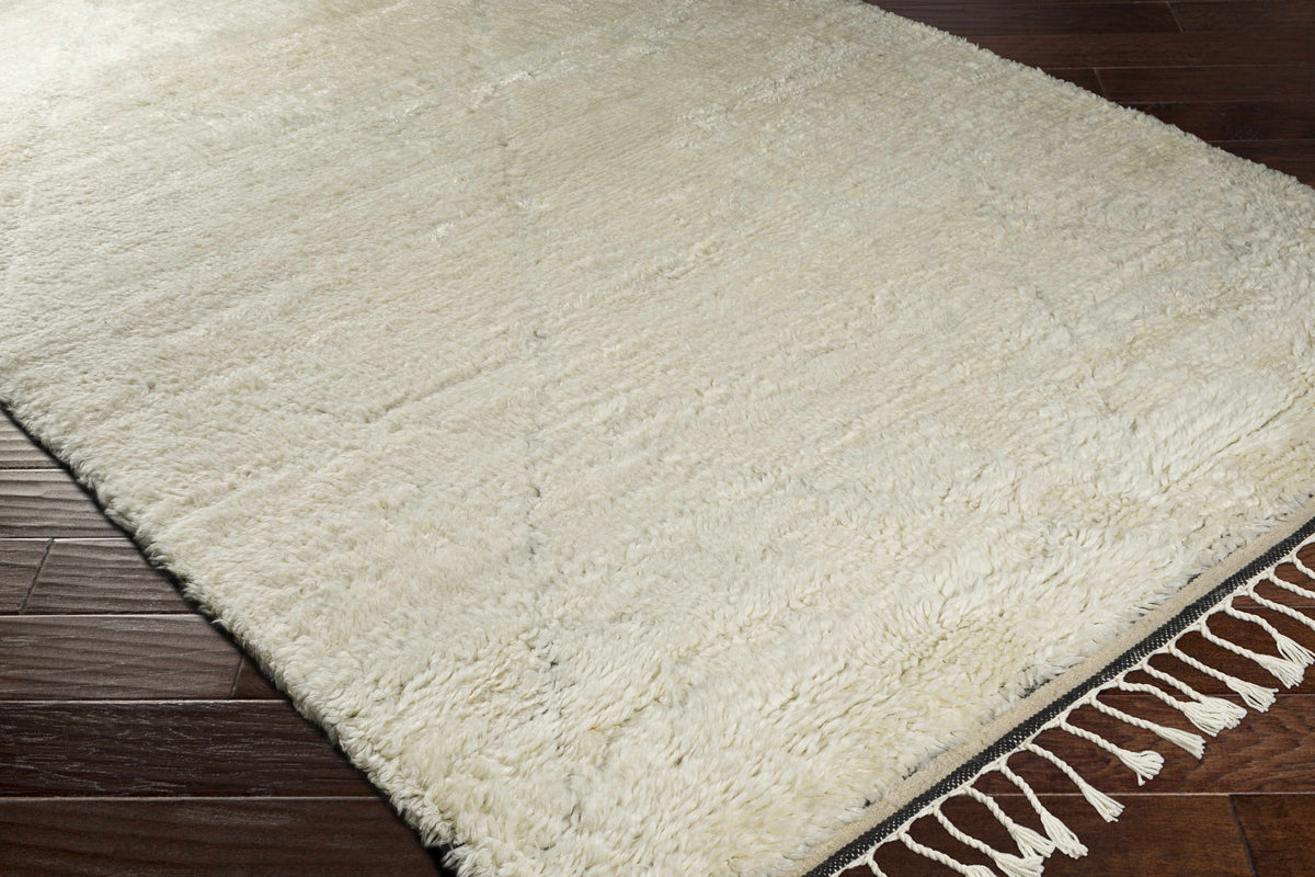 Sahara SAH-2302 Hand Knotted Rug