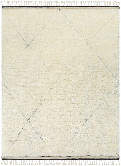 Sahara SAH-2302 Hand Knotted Rug