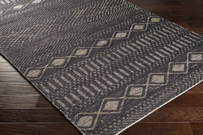 Santa Barbara SBB-2309 Hand Woven Rug