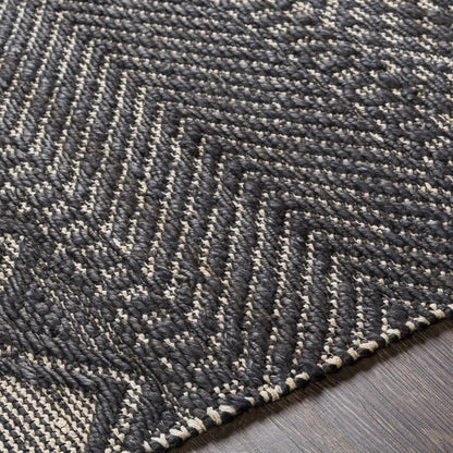 Santa Barbara SBB-2309 Hand Woven Rug