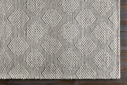 Colarado CDO-2302 Hand Woven Rug