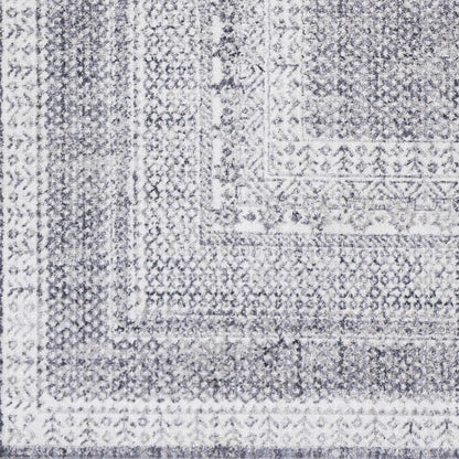 Alice ALC-2304 Machine Woven Rug