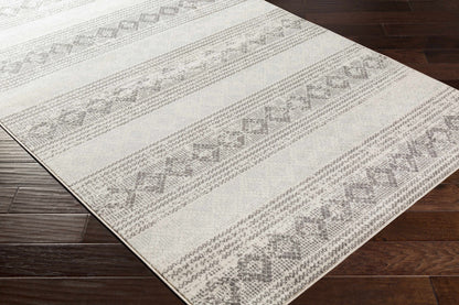 Chester CHE-2308 Machine Woven Rug