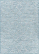 Pasadena PSA-2341 Machine Woven Rug