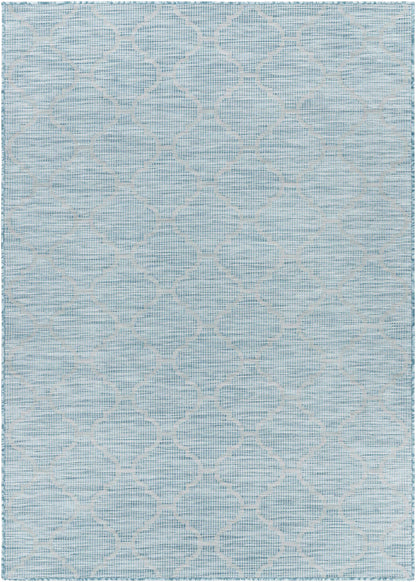 Pasadena PSA-2341 Machine Woven Rug