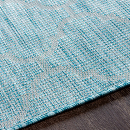 Pasadena PSA-2341 Machine Woven Rug