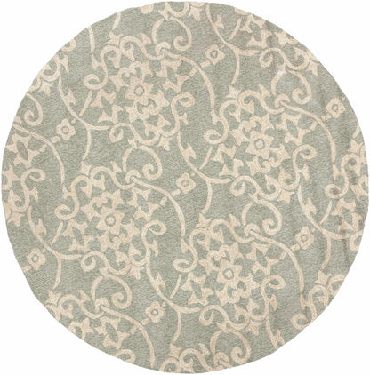 Rain RAI-1103 Hand Hooked Rug