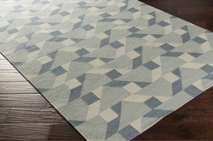 Rivington RVT-5015 Hand Woven Rug