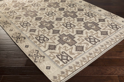 Jewel Tone II JTII-2060 Hand Woven Rug