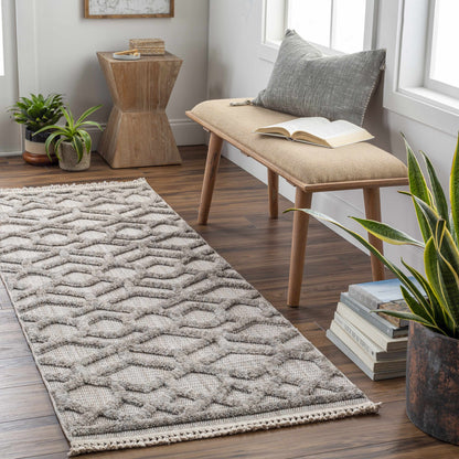 Zaragoza ZRZ-2304 Machine Woven Rug