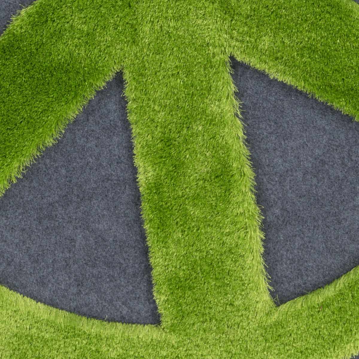 Rugs : CRH-6002