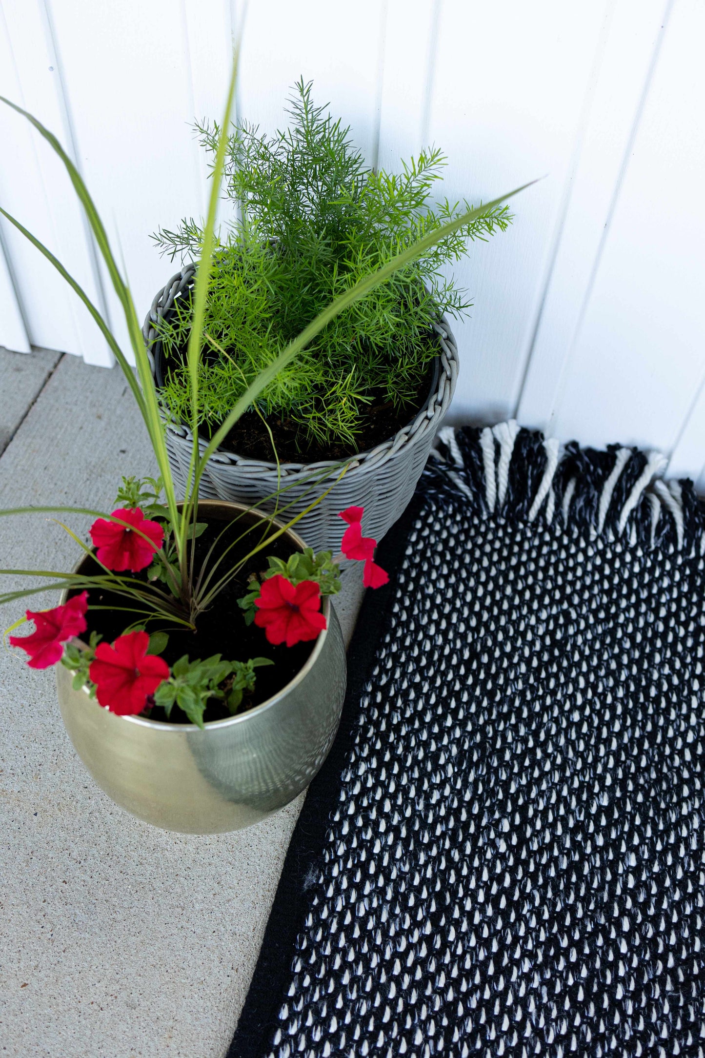 Azalea AZA-2312 Handmade Rug