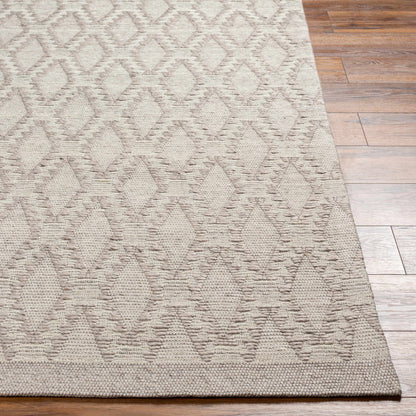Napoli NPO-2313 Hand Woven Rug