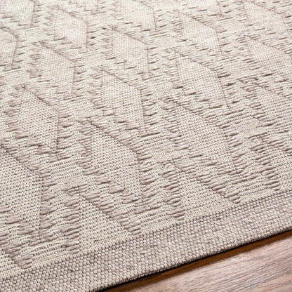 Napoli NPO-2313 Hand Woven Rug