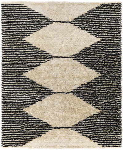 Black Hand Tufted 100% Polyester Modern Rectangle Handmade rug, Indoor use only, no fringe, non-washable.