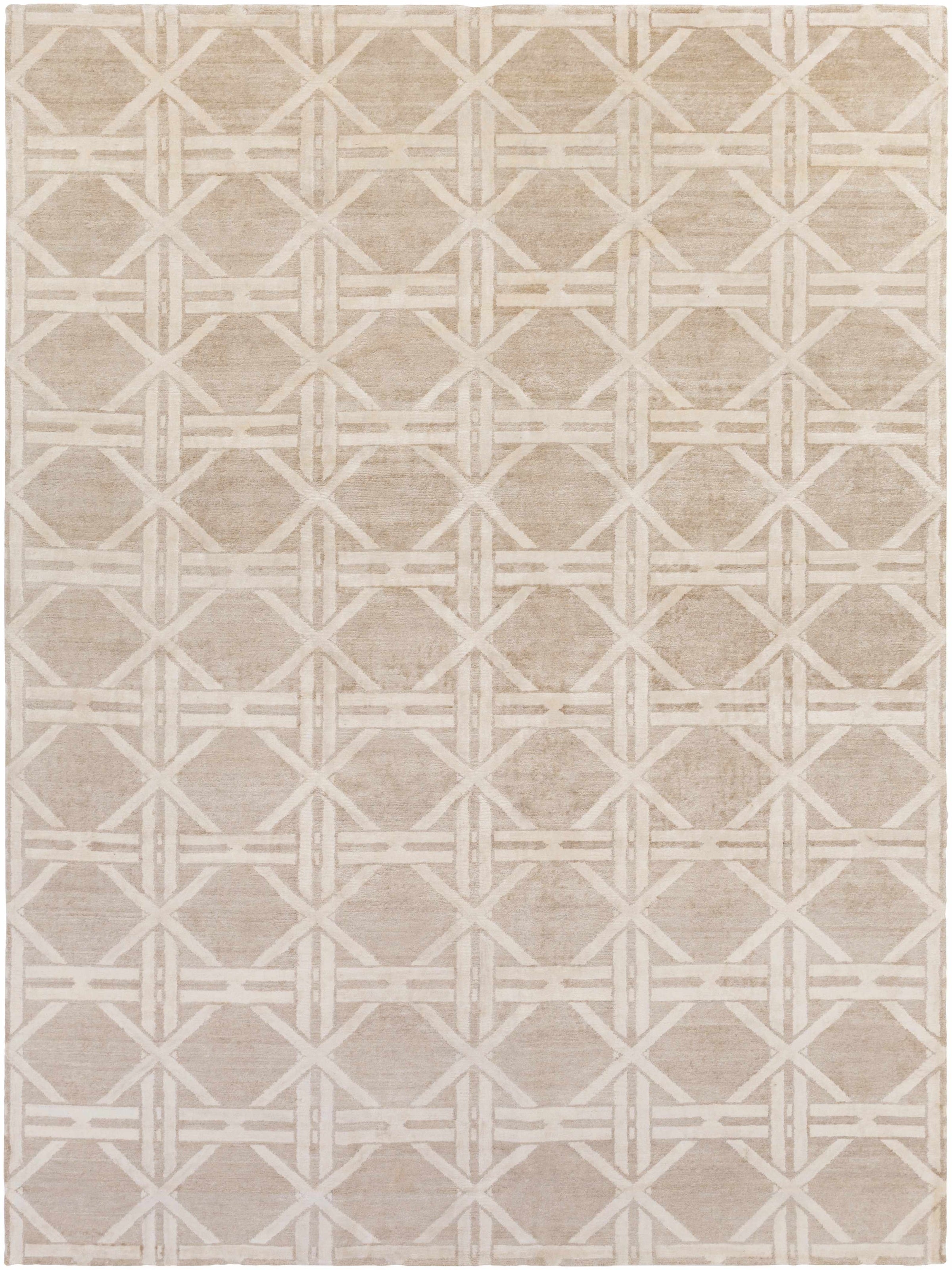 Tan Hand Knotted 100% Viscose Modern Rectangle Handmade rug, Indoor use only, no fringe, non-washable.