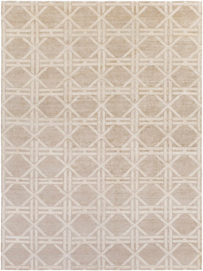 Tan Hand Knotted 100% Viscose Modern Rectangle Handmade rug, Indoor use only, no fringe, non-washable.