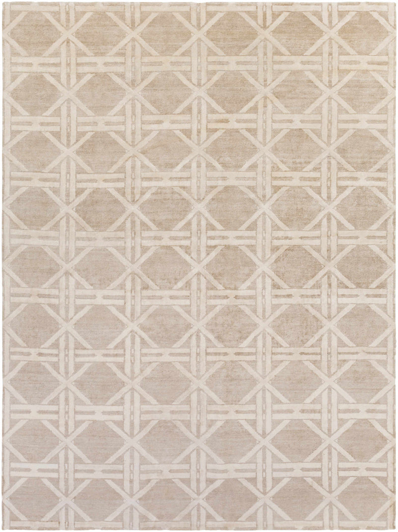 Tan Hand Knotted 100% Viscose Modern Rectangle Handmade rug, Indoor use only, no fringe, non-washable.