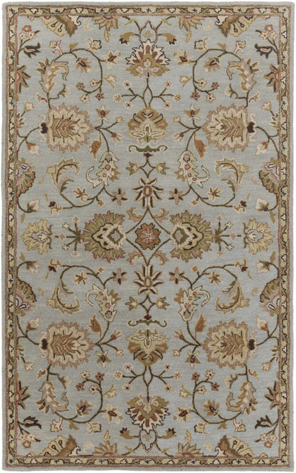 Middleton AWMD-1004 Hand Tufted Rug
