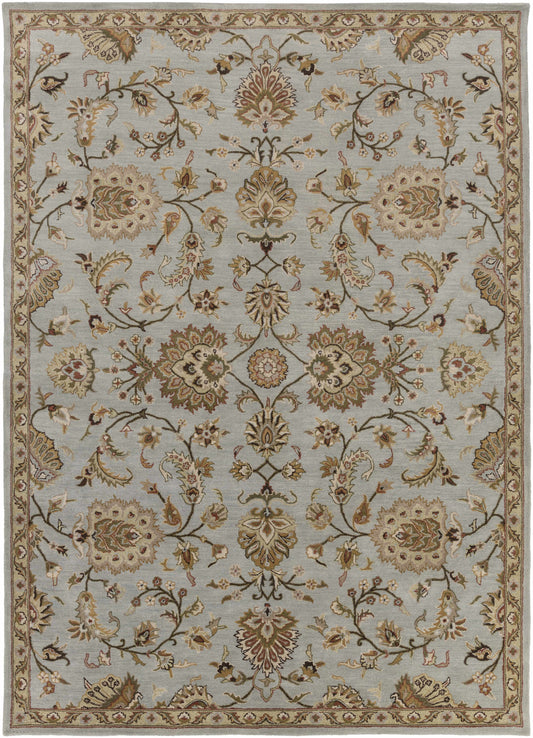 Middleton AWMD-1004 Hand Tufted Rug