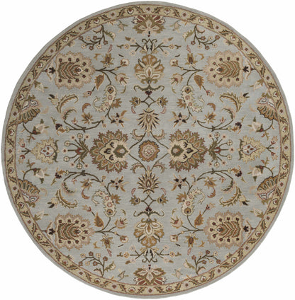 Middleton AWMD-1004 Hand Tufted Rug