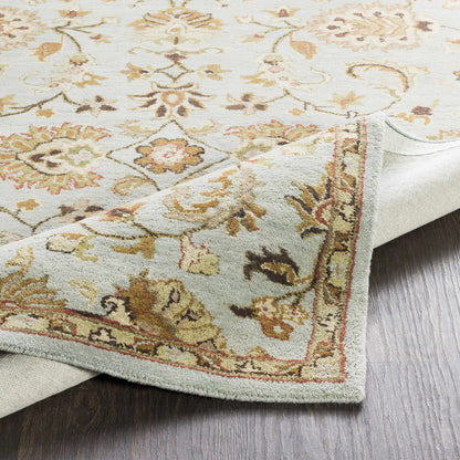 Middleton AWMD-1004 Hand Tufted Rug