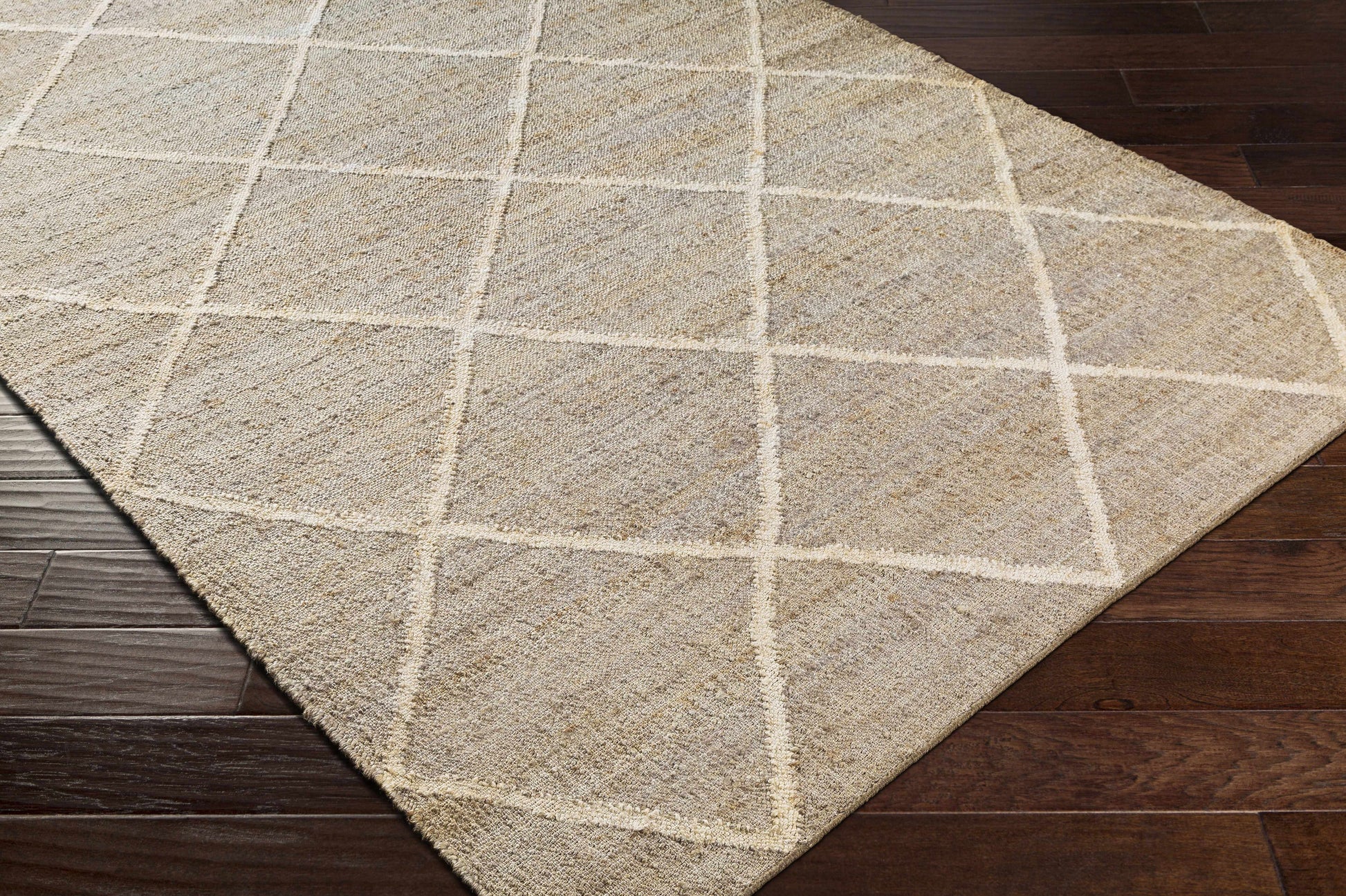 Cadence CEC-2310 Hand Woven Rug