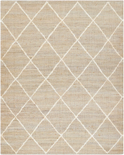 Cadence CEC-2310 Hand Woven Rug