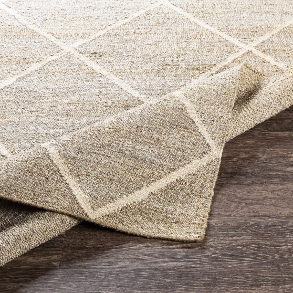 Rugs : CEC-2310