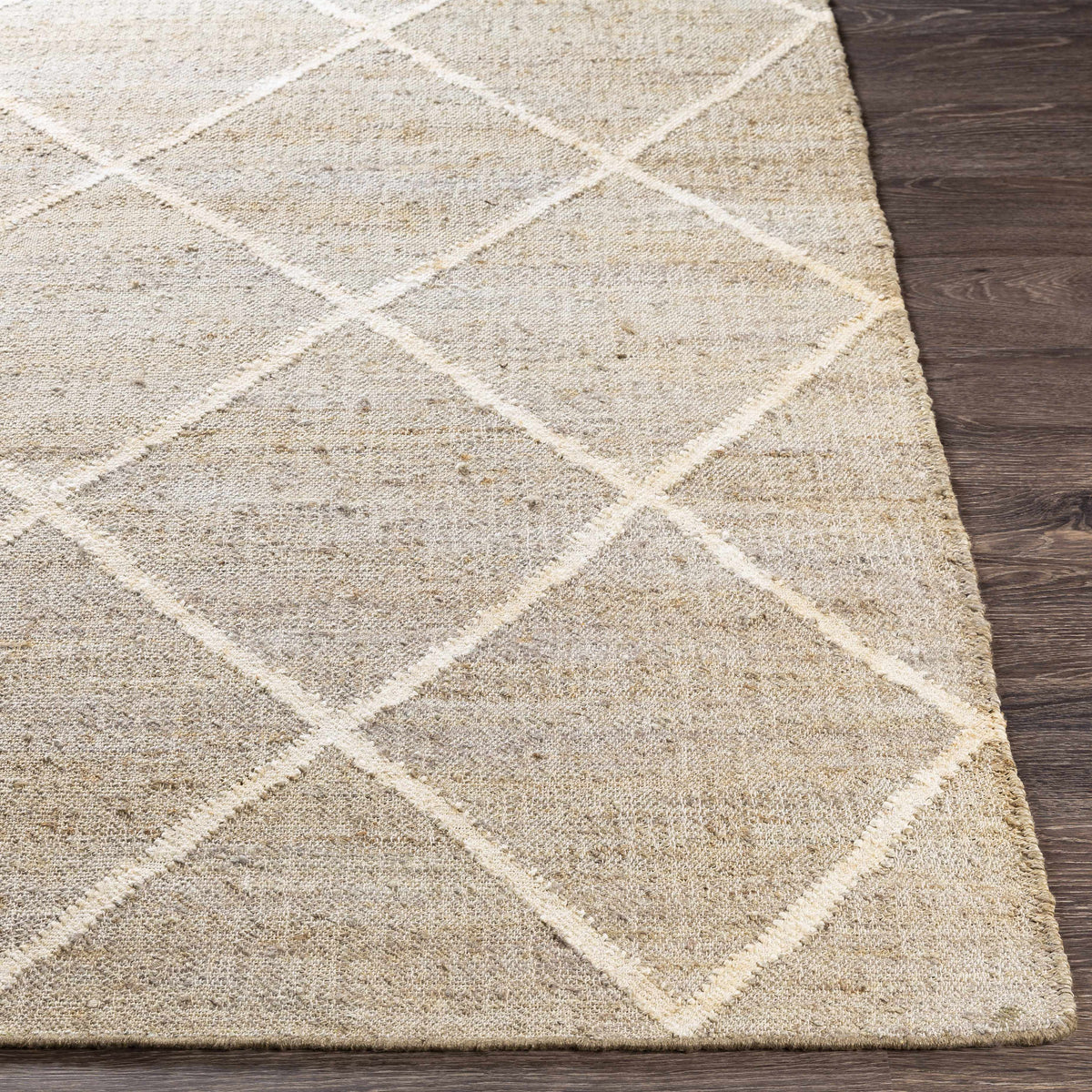 Rugs : CEC-2310