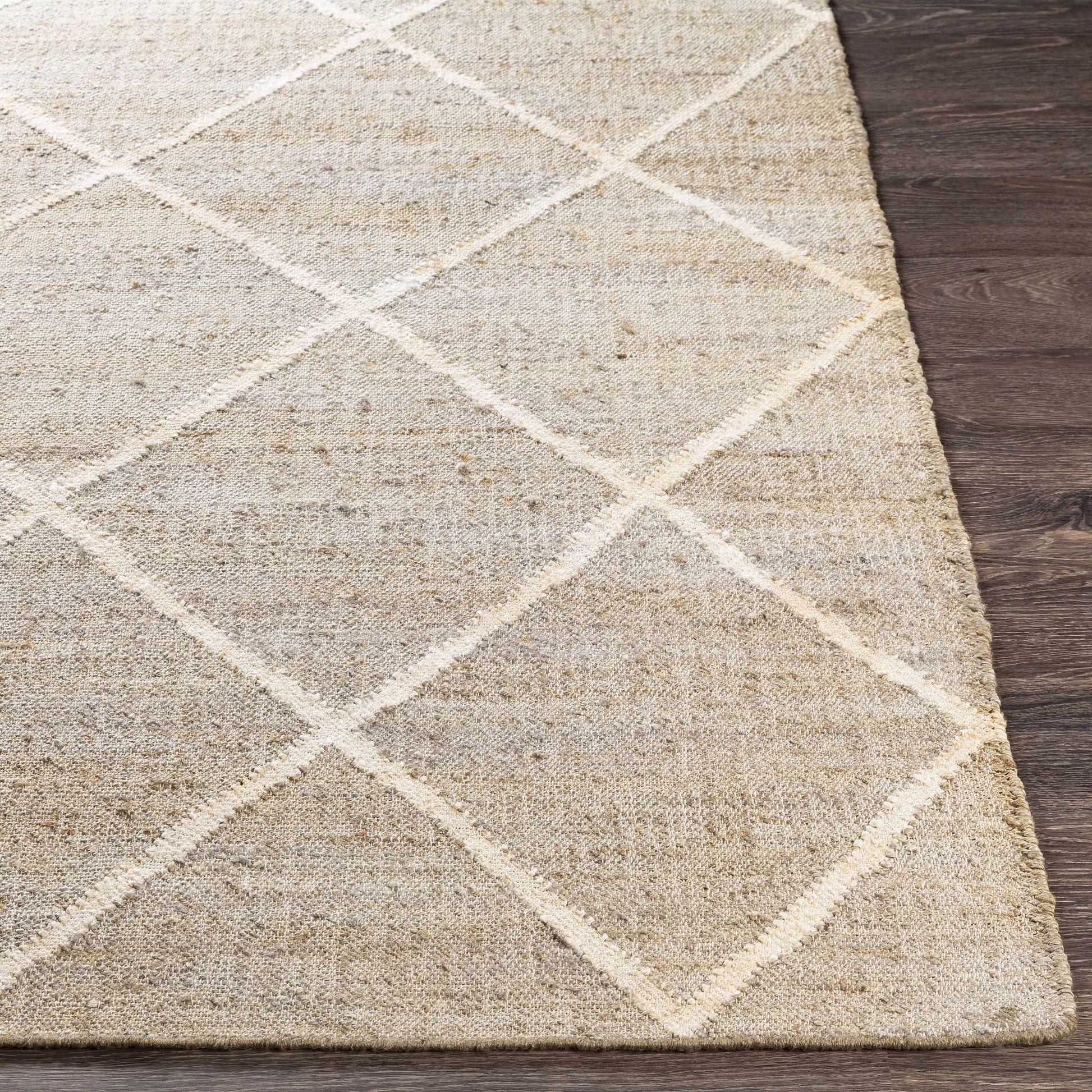 Cadence CEC-2310 Hand Woven Rug