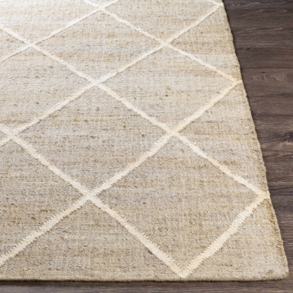Cadence CEC-2310 Hand Woven Rug