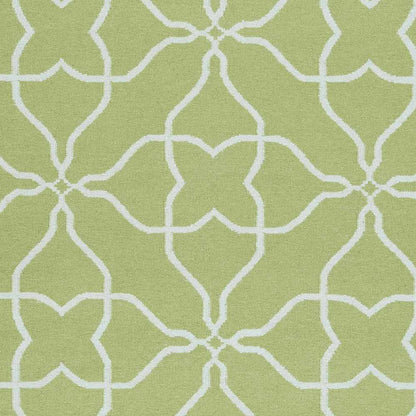 Frontier FT-234 Hand Woven Rug