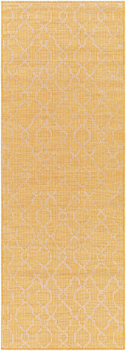 Pasadena PSA-2336 Machine Woven Rug