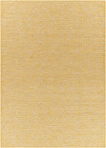 Pasadena PSA-2336 Machine Woven Rug