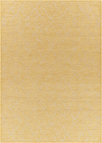 Pasadena PSA-2336 Machine Woven Rug