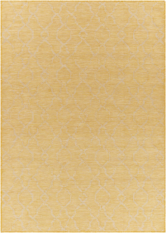 Pasadena PSA-2336 Machine Woven Rug