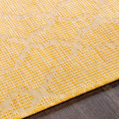 Pasadena PSA-2336 Machine Woven Rug