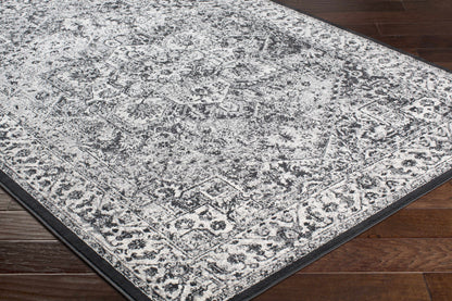 Mumbai MUM-2301 Machine Woven Rug