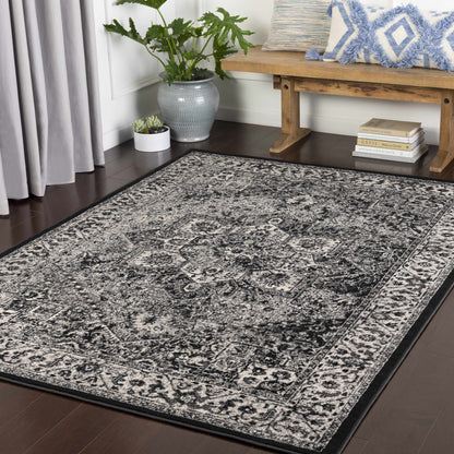 Mumbai MUM-2301 Machine Woven Rug